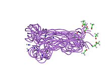 PDB 2j5h EBI.jpg