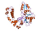 PDB 8icg EBI.jpg