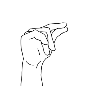 Polish Sign Language - letter P