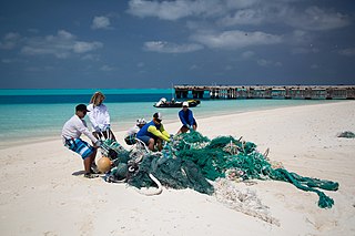 <span class="mw-page-title-main">Oceans defender</span>