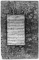 Page of Calligraphy from an Anthology of Poetry by Sa`di and Hafiz MET 11963.jpg