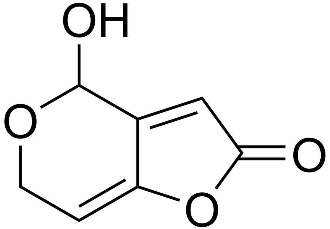 Patulina