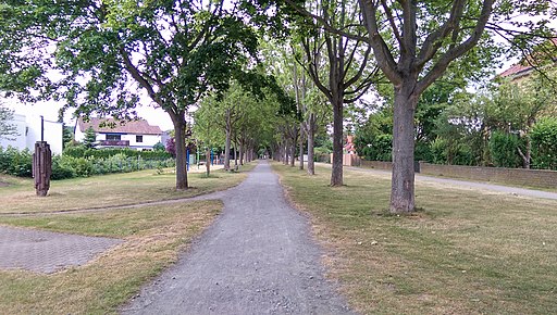 Peine - Bürgermeister-Meyer-Weg - panoramio