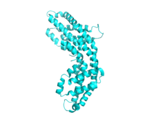 Phycocyanin (ab) monomer Phycocyanin monomer 5mjm.png