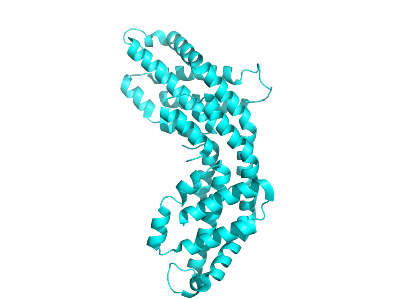 File:Phycocyanin monomer 5mjm.png