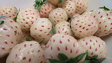 Pineberries Pineberries.jpg