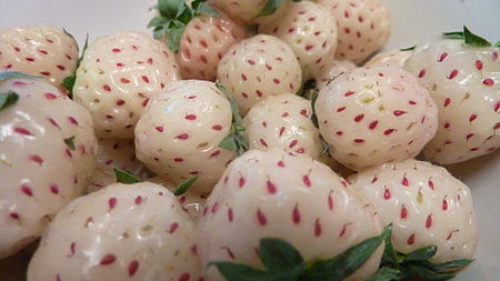 Pineberries.jpg