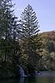 Deutsch: Kroatien, Nationalpark Plitvicer Seen English: Croatia, Plitvice Lakes National Park