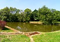 Čeština: Rybník na dolní návsi v Kolodějích (Praha 21) English: Pond at common in Koloděje, Prague