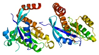 <span class="mw-page-title-main">GEM (gene)</span> Protein-coding gene in humans