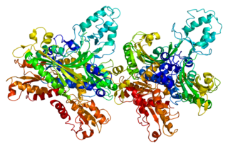 POLG2 Protein-coding gene in the species Homo sapiens