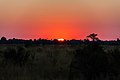 Puesta de sol, delta del Okavango, Botsuana, 2018-07-31, DD 20.jpg