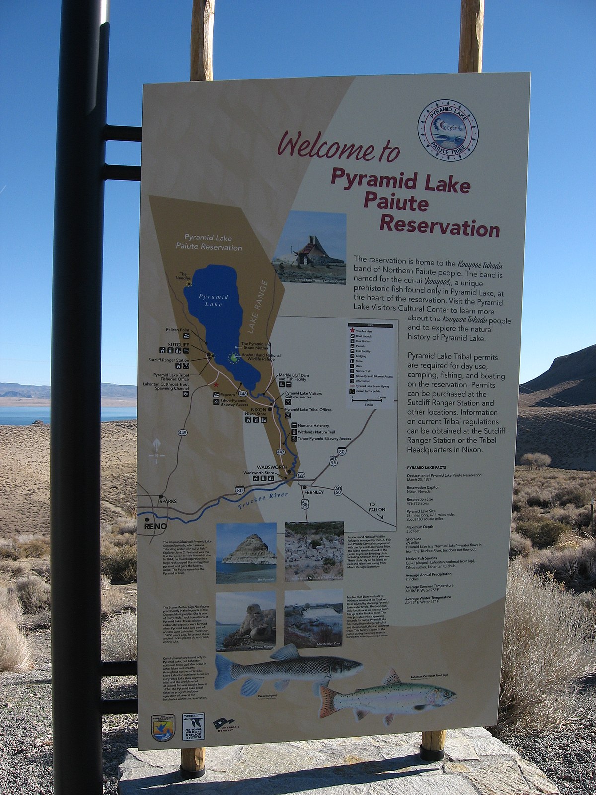 File:Pyramid Lake, Nevada (14) (4134268411).jpg - Wikimedia Commons