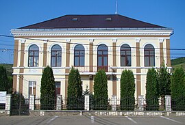 Dumitrița town hall