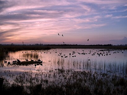 How to get to Strumpshaw Fen with public transport- About the place