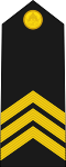60px RTN OR 9 %28Chief Petty Officer 1st Class%29.svg