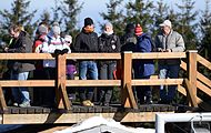 Deutsch: Vorletztes Saisonrennen im Rennrodel-Weltcup der Saison 2014/15 vom 19. bis 22. Februar 2015 in Altenberg/Erzgebirge. Tag 1: Training. English: Luge world cup race season 2014/15 in Altenberg/Germany, 19th to 22nd Februar 2015. Day 1: training.