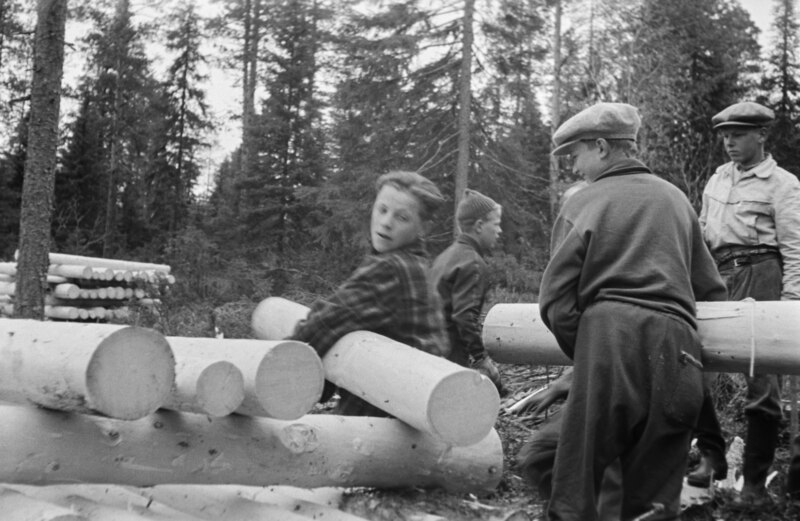 File:Reportaasi 1955-06-22 Ylitornion pojat oppivat tositeolla metsänhoitoa (JOKAEES8A87-2).tif