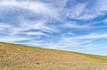 * Nomination Cirrus clouds over the dike of the Rhine in Rheinberg --Carschten 09:46, 4 June 2020 (UTC) * Promotion Minimalistic and good quality. --Milseburg 10:39, 4 June 2020 (UTC)