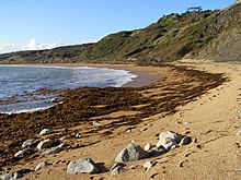 The strandline at Ringstead Beach, Dorset, UK Ringstead bay beach east end.jpg