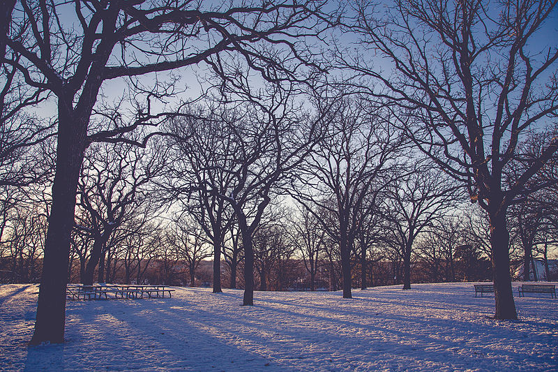 File:Riverside Park, Saint Cloud, Minnesota - Winter (24138428175).jpg