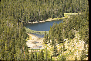 Rocky Mountain National Park ROMO9069.jpg