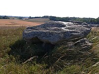 Runddysse vom Galgebjerg