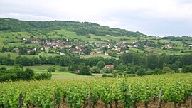 A general view of Saint-Denis-de-Vaux