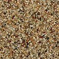 One square centimeter (0.16 sqare inch) of windblown sand from the Gobi Desert