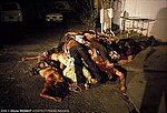 Thumbnail for Death squads in El Salvador
