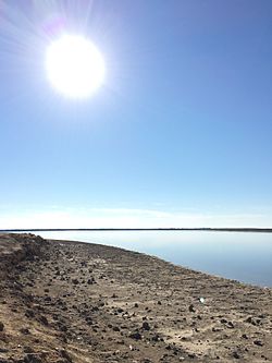 Sawa lake Iraq.jpg