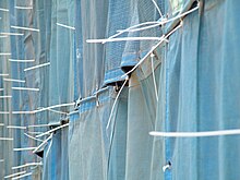 Cable ties used to attach shade cloth to scaffolding at a construction site in Singapore Shade cloth attached with cable ties.jpg