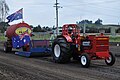 A Tractor Pull in progress at Sheffield, Tasmania