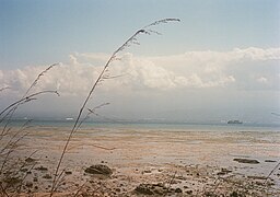 Shoreline of Taman Nasional Bali Barat 01.jpg