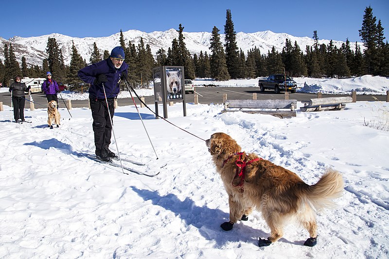 File:Skijour Prep at Mountain Vista (8641827424).jpg