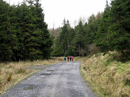 Forest trails are firm but have limited views