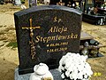 image=http://commons.wikimedia.org/wiki/File:St%C4%99pniewska_Alicja_-_1189.jpg