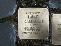 Stolperstein Haune Rosenbusch, 1, Marktstrasse 6, Borken, Schwalm-Eder-Kreis.jpg