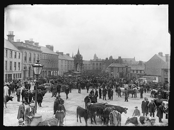 Photograph of Strabane Fair by Herbert F. Cooper, c. 1910 (PRONI)