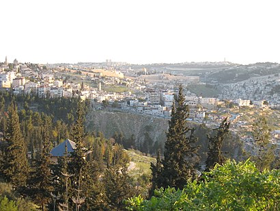 How to get to יער השלום with public transit - About the place