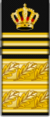 Svéd-police-rank-new-02-1b.png