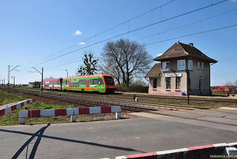 File:Szynobusy do Czerska w Dąbrowie. - panoramio.jpg