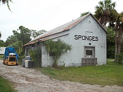 Tarpon Springs FL Meres Sünger Paketleme Evi03.jpg