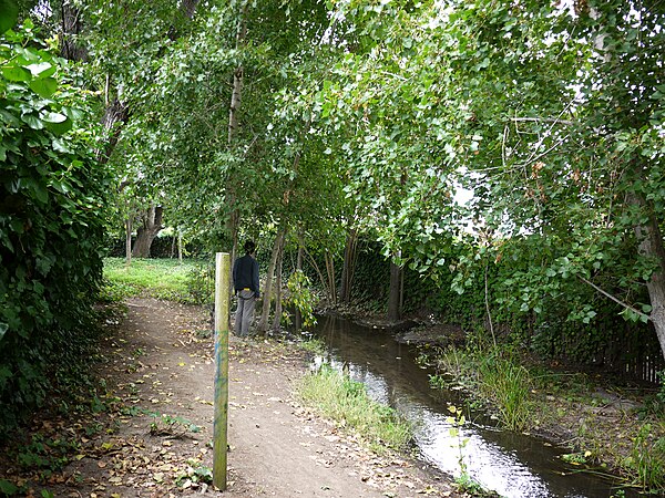 Temescal Creek in Oakland near Cavour Street