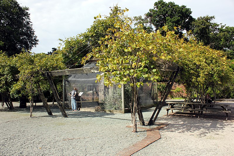 File:The Aviary at Bodelwyddan Castle - geograph.org.uk - 3641060.jpg