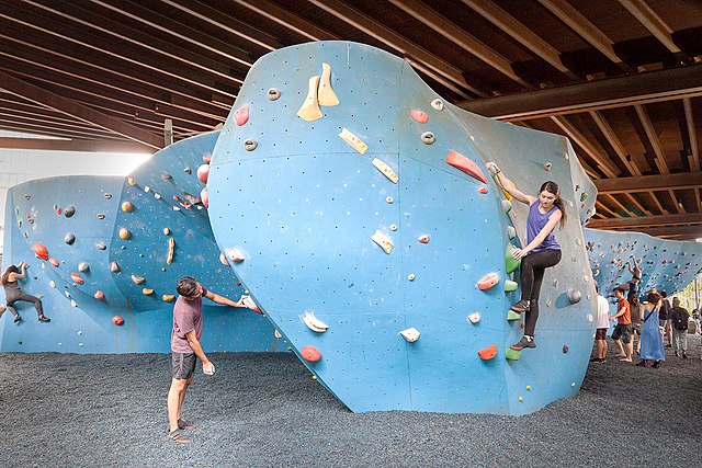 The largest outdoor bouldering gym in North America, The Cliffs at DUMBO, is located in Brooklyn Bridge Park.