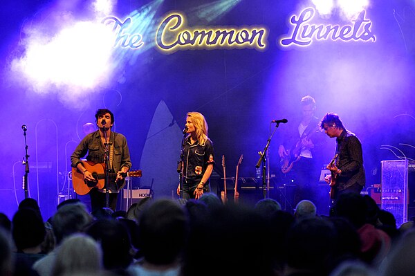 The Common Linnets at the 2017 Blacksheep Festival