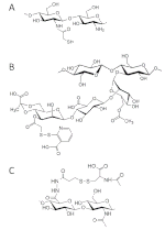 Vorschaubild für Thiomer