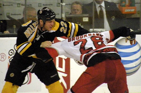 Shawn Thornton fighting Wade Brookbank