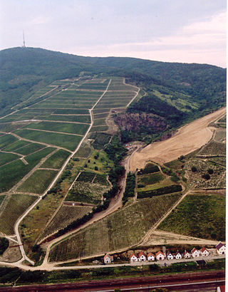 <span class="mw-page-title-main">Tokaj wine region</span> UNESCO World Heritage Site in Tokaj, Hungary